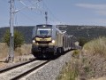 337-007 y Pecovasa